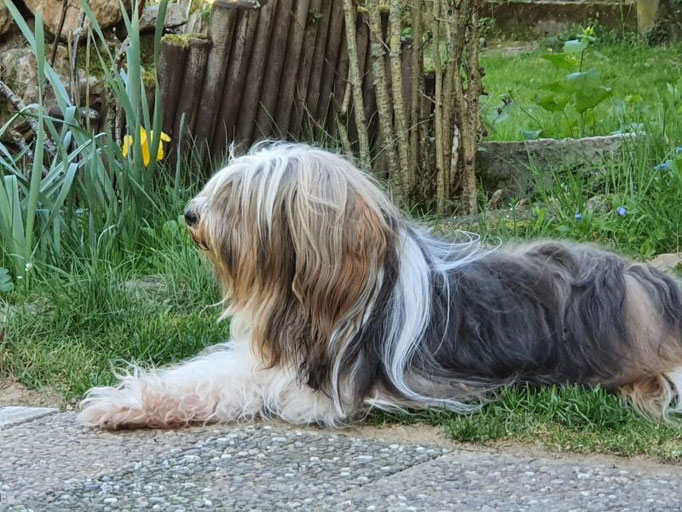 Milka