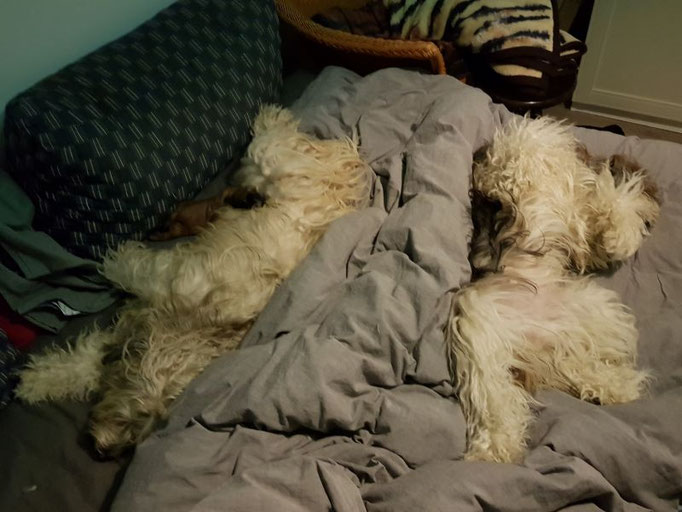 14. Lebenstag - Han-na darf wieder mit im Zimmer sein