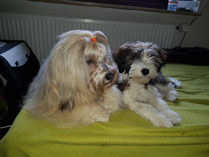 Tante und Nichte - ein tolles Team  - 04/2018 