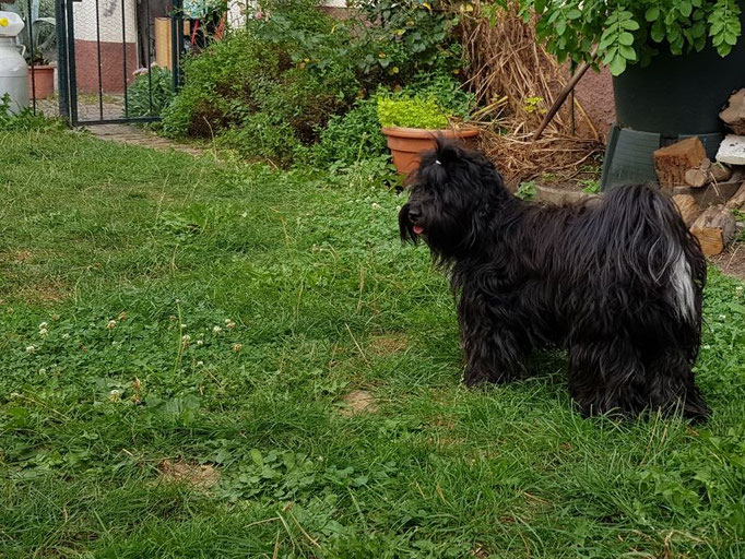 Tag 16: hübsche Prinzessin Jinpa