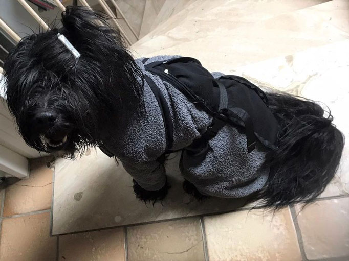 Pepper (J)