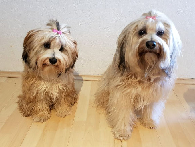 Ida - 9 Monate und ihre Mama Fiona