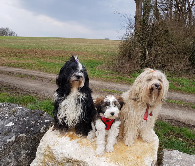 Mama Lisha, Han-na und Tante Fiona  - 03/2018 