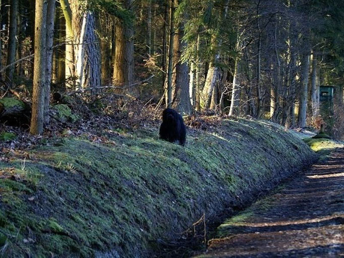 ...im Taunus