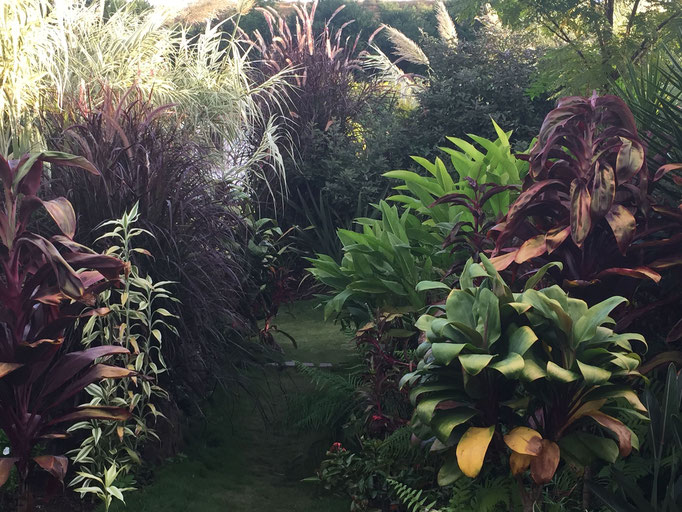 Jardin tropical I Folies tropicales © Rc-Paysage