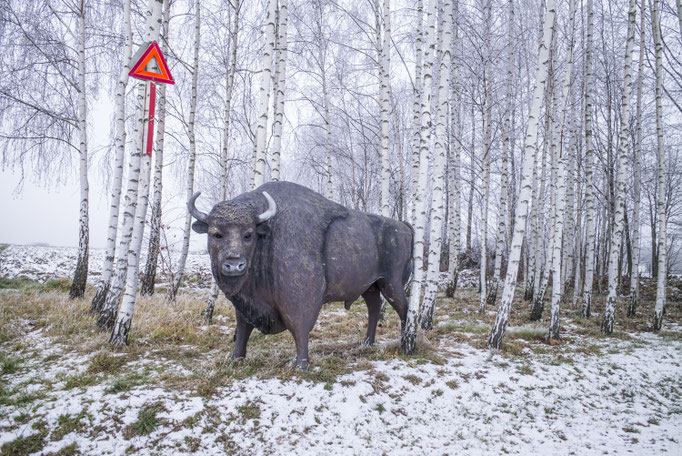 Winterreise - Border with Belarus - Poland © François Struzik - simply human 2021-2023