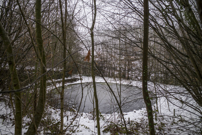 Winterreise - Wallonia - Belgium © François Struzik - simply human 2021-2023