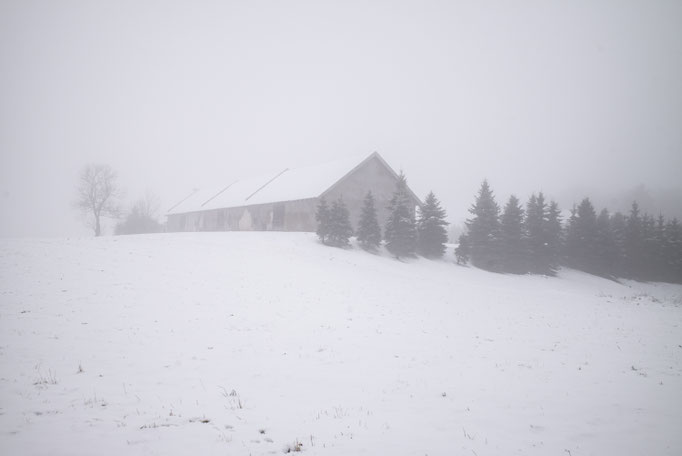 Winterreise - Border with Lithuania - Poland © François Struzik - simply human 2021-2023