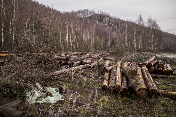 Winterreise - Wallonia - Belgium © François Struzik - simply human 2021-2023