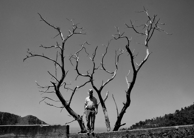 Fotografia di Carlo Ferrara