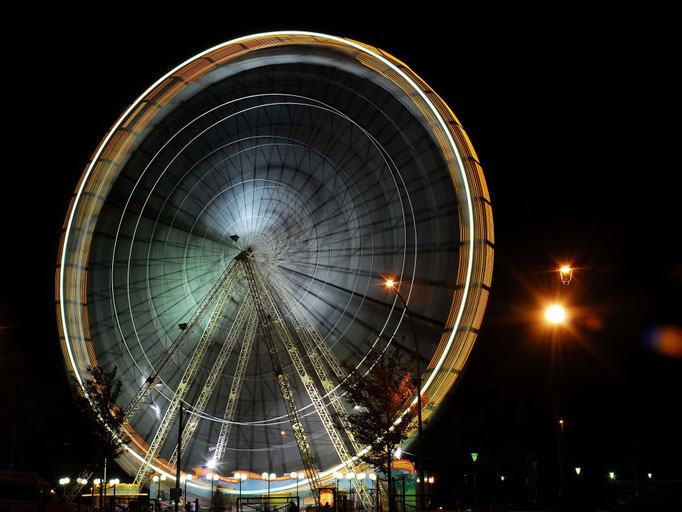 Luca Cortese, Tutto il giro