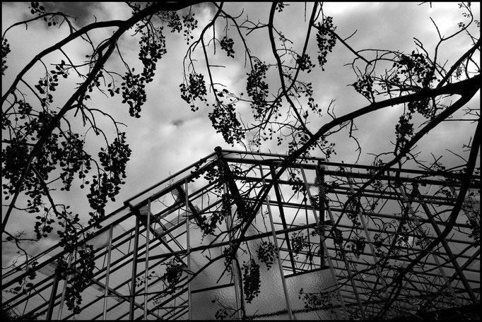 Fotografia di Carlo Riggi