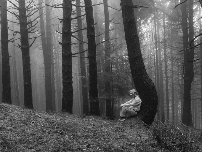 Fotografia di Carlo Ferrara