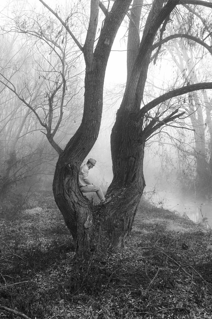 Fotografia di Carlo Ferrara