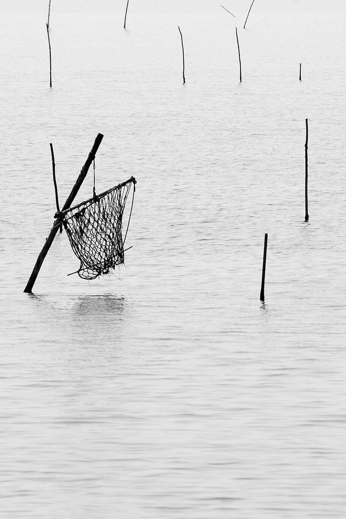 Luca Cortese - L'amaca, 2012