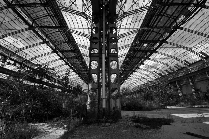 Luca Cortese - Capannoni Innocenti 053, 2012