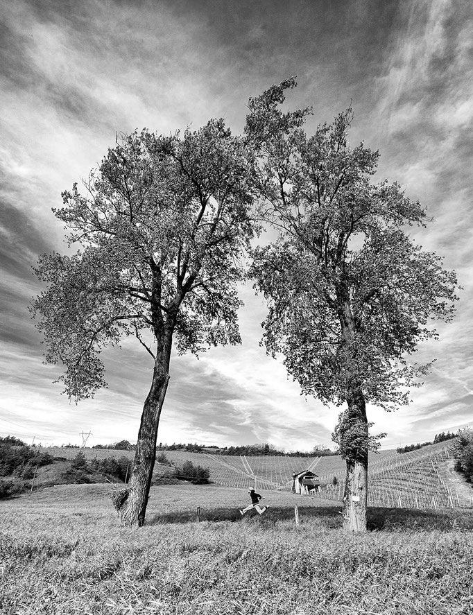 Fotografia di Carlo Ferrara