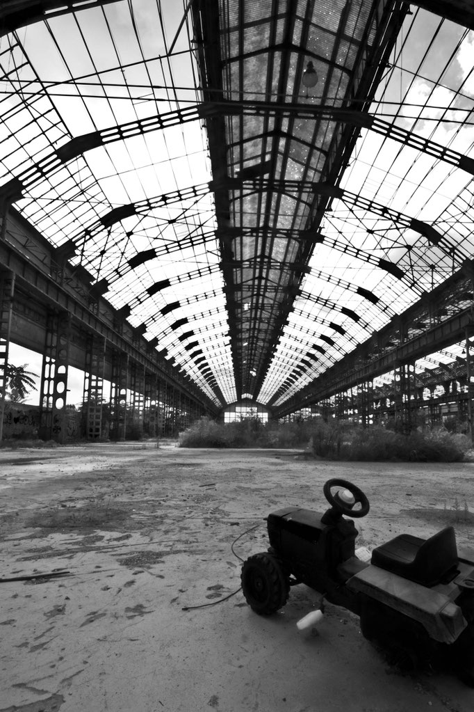 Photo by Luca Cortese (all rights reserved)