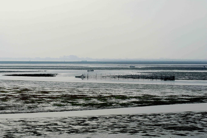 Luca Cortese - Terra, acqua e silenzio, 2012