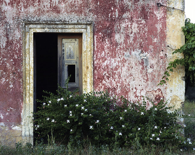 Fotografia di Pio Tarantini