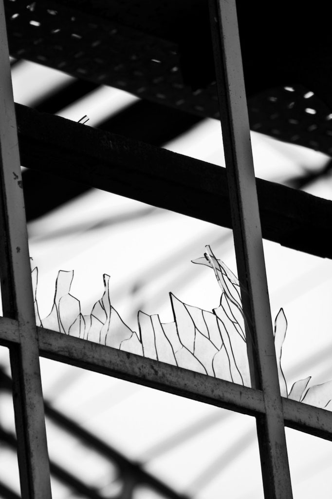 Luca Cortese - Capannoni Innocenti 102, 2012