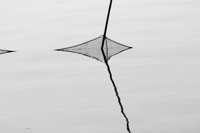 Luca Cortese - L'ultimo aquilone, 2012