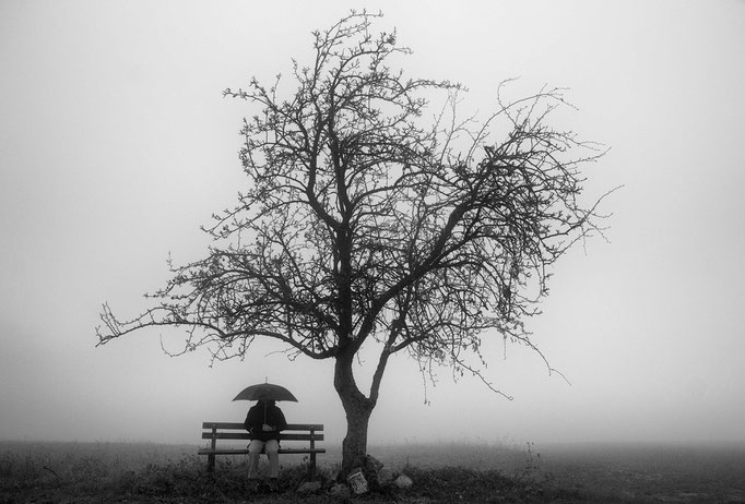 Fotografia di Carlo Ferrara