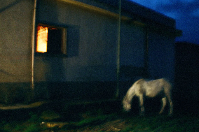 Fotografia di Franco Carlisi