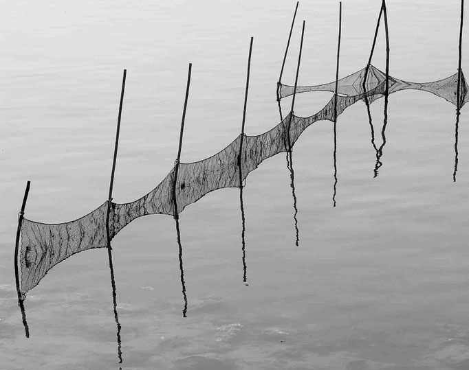 Luca Cortese - Mirrornet, 2012