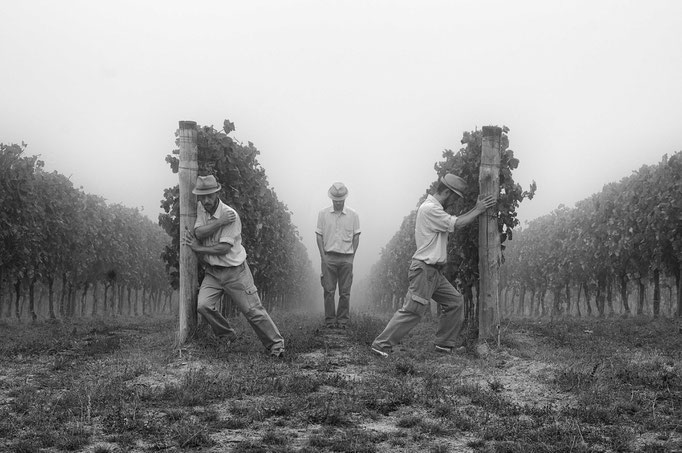Fotografia di Carlo Ferrara
