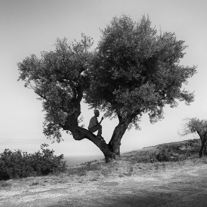 Fotografia di Carlo Ferrara
