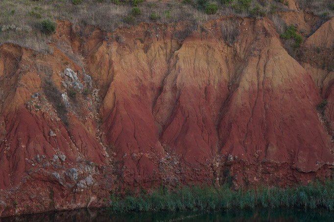 Fotografia di Pio Tarantini