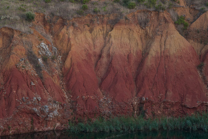 Fotografia di Pio Tarantini