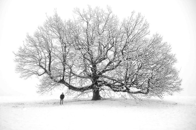 Fotografia di Carlo Ferrara