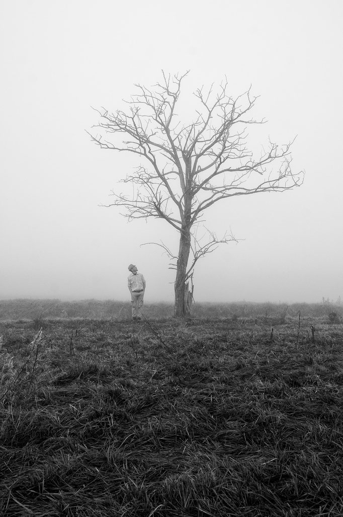 Fotografia di Carlo Ferrara