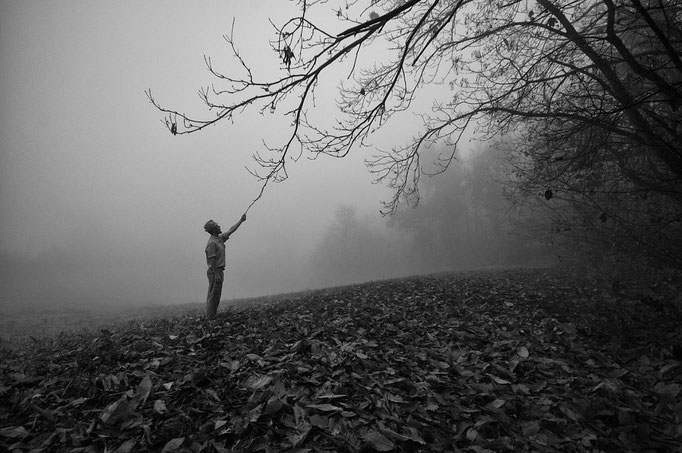 Fotografia di Carlo Ferrara