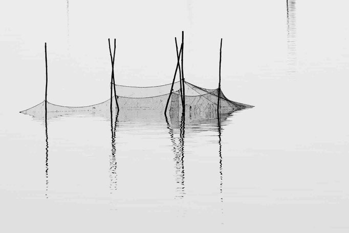 Luca Cortese - Decayed fishnet , 2012