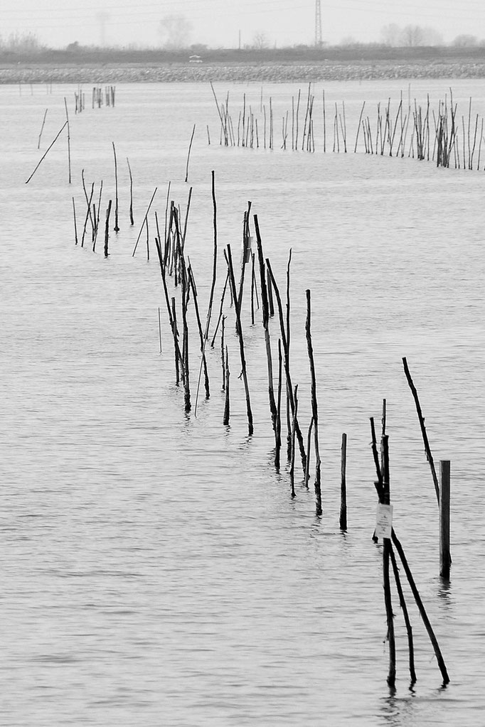 Luca Cortese - Filari, 2012