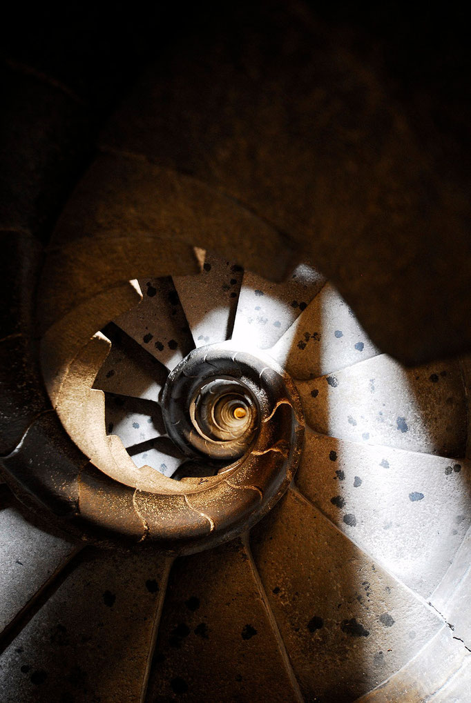 Luca Cortese - Downward spiral, 2011