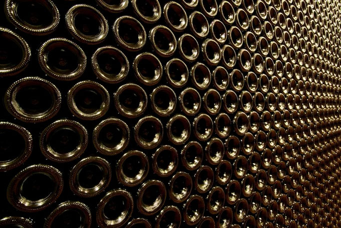 Luca Cortese - Cantina Dosio 0022, 2013