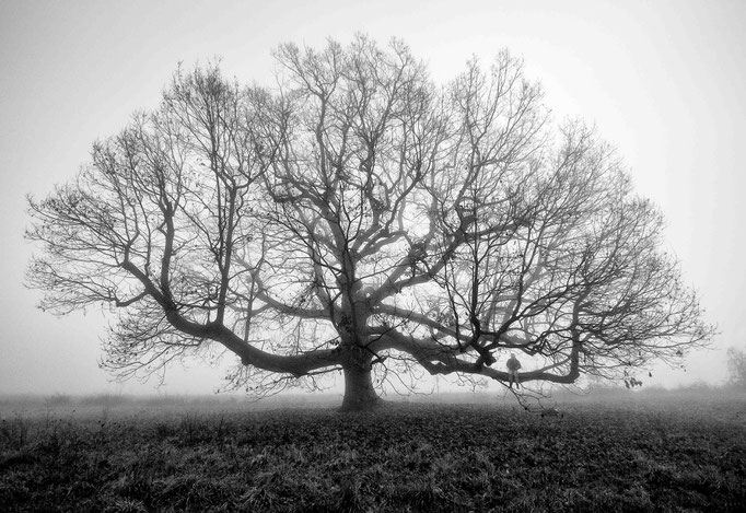 Fotografia di Carlo Ferrara