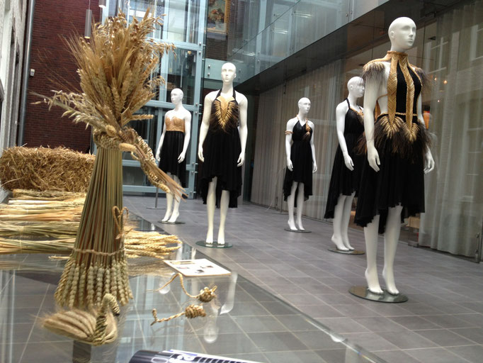 overzicht expo in het museum aan het Vrijthof te Maastricht