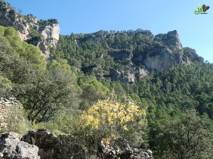 Castellón del Moro