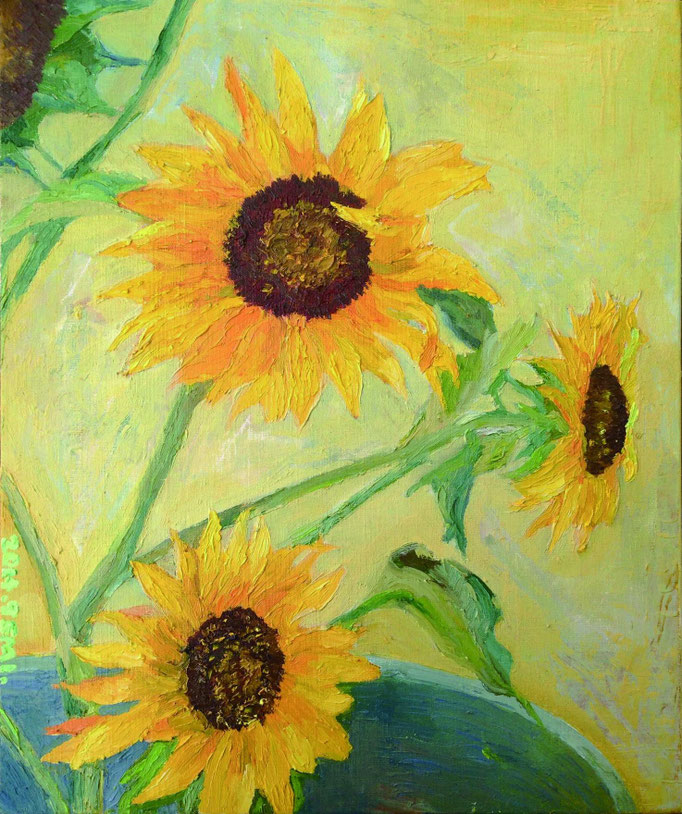 sonnenblume  / Oil Painting 　油彩　455×380mm 2014