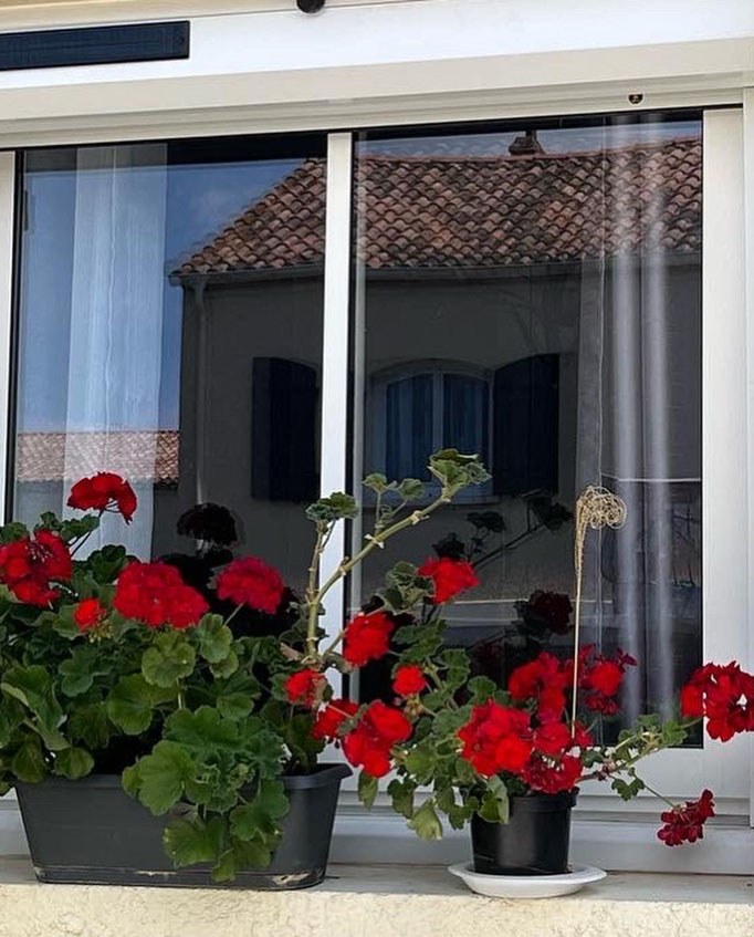 Volets Roulants/Battants: électrique, solaire, aluminium, 2023-2024 sur mesure en rénovation de chez Altiva Pro Menuisier Six-Fours-Les-Plages 83140 