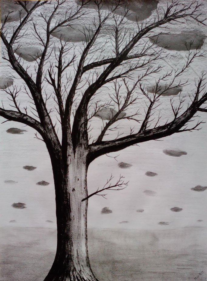 Baum