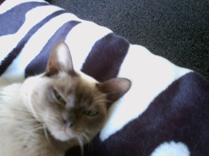 Peanut
