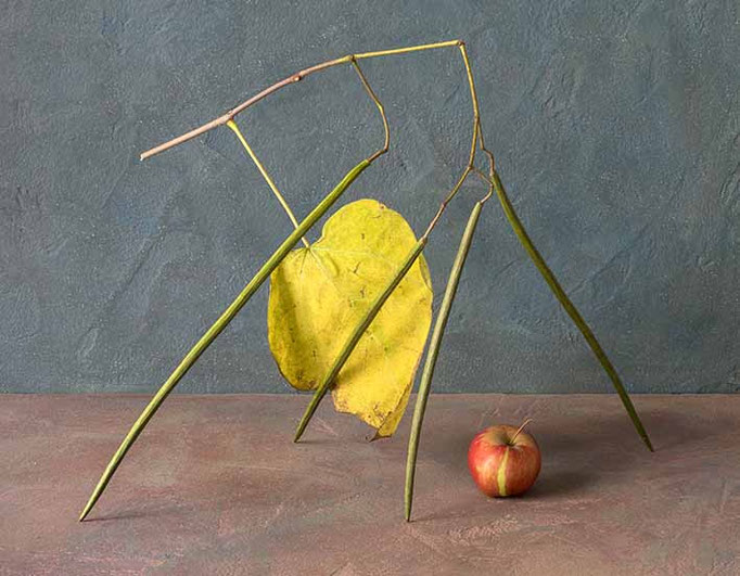 Apfel, Früchte des Trompetenbaums