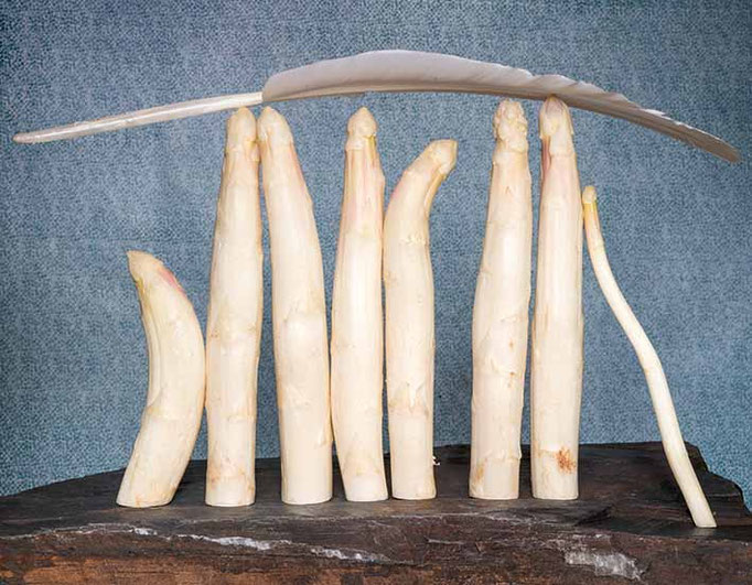 Spargel, Schwanenfeder