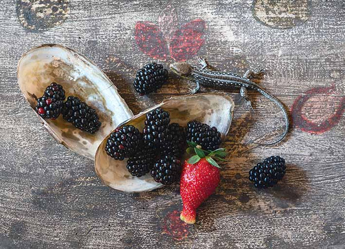 Brombeeren, Erdbeere, Teichmuschel, Waldeidechse